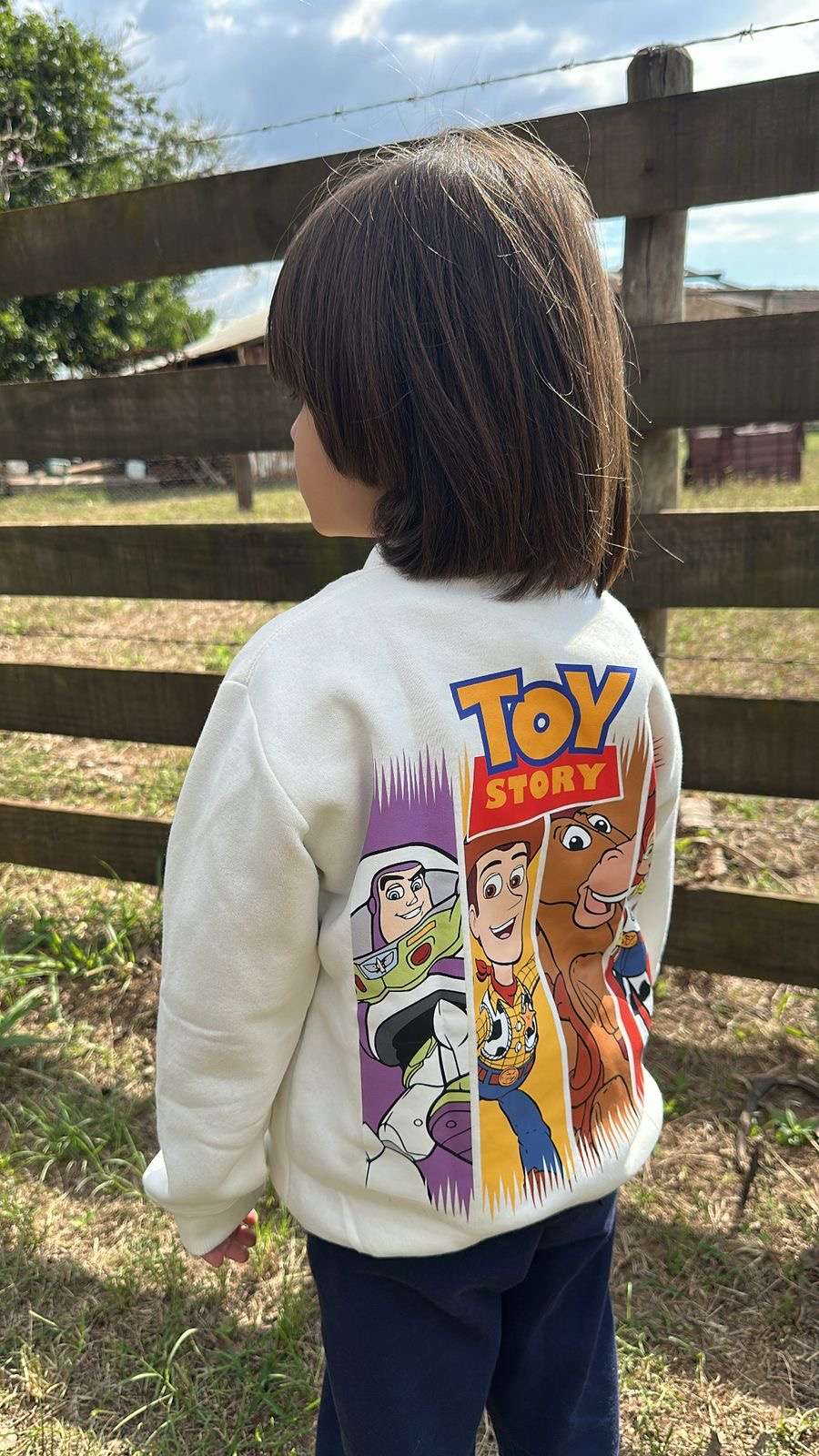 (Pré venda)Moletom infantil Toy Story