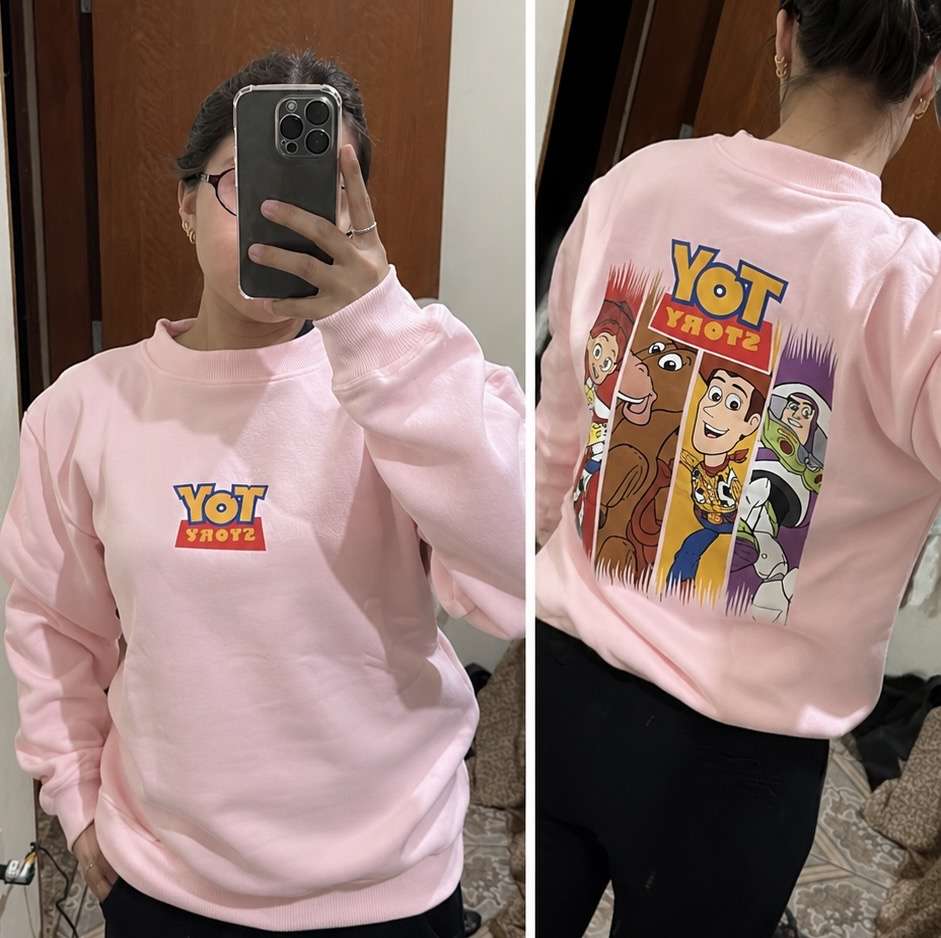 Pré venda Moletom toy story (rosa bebê)